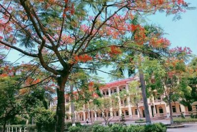 VIẾT VỀ MÁI TRƯỜNG